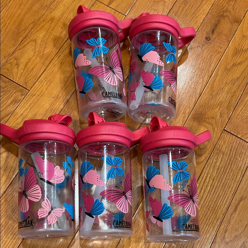 CamelBak Kids Water Bottle with Butterfly Design - Pink and Blue